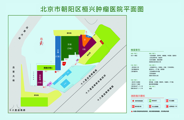 学生妹想要大鸡巴影院北京市朝阳区桓兴肿瘤医院平面图